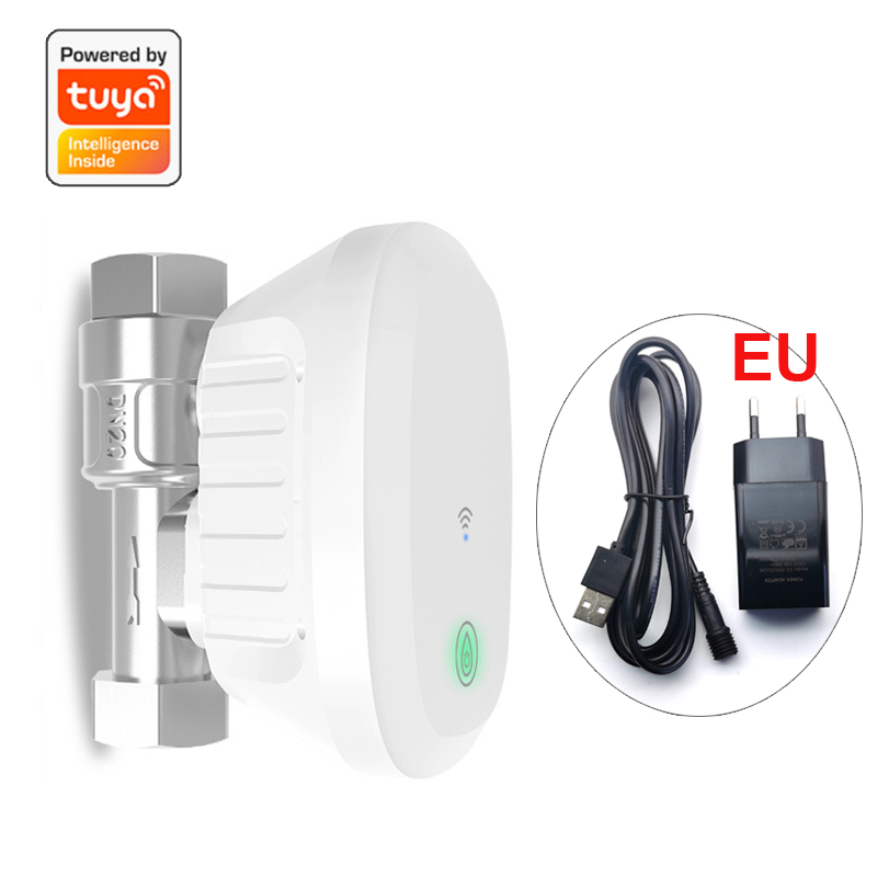 Tuya katup air WiFi cerdas, pe - Home Assistant Tuya ulasan dan harga